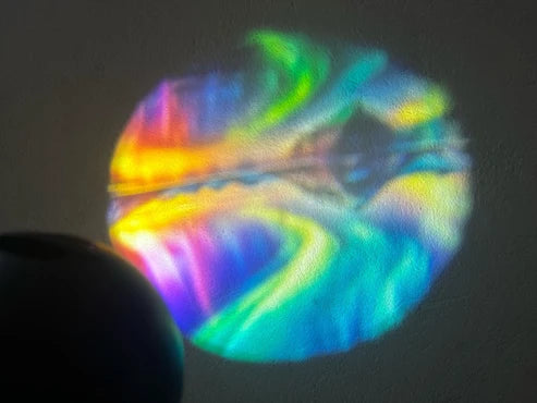 Proyector + Diapositivas